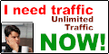 Web Promotion and Submission Service